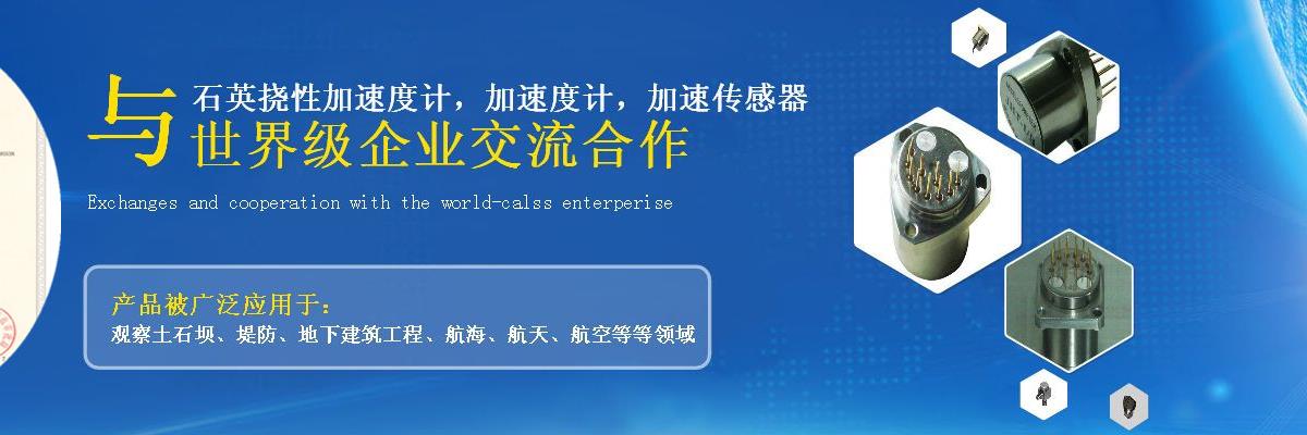 加速度传感器,加速度传感器厂家,石英扰性加速度传感器